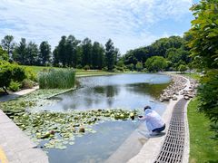 -上海辰山植物园