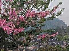 -白石龙音乐公园