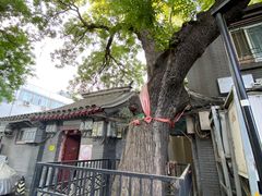 -北京市宏庙小学