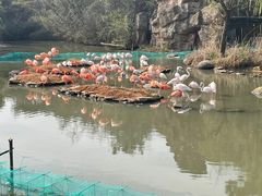 -宁波野生动物园