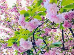 -苏州河梦清园环保主题公园