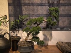 -自由生长植物工作室(深港花卉中心店)