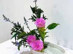 -今日陶艺(富力广场店)
