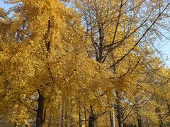 -辽宁大学(崇山校区)