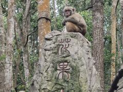 -普洱太阳河森林公园