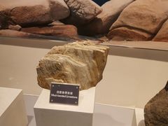 -房山世界地质公园博物馆