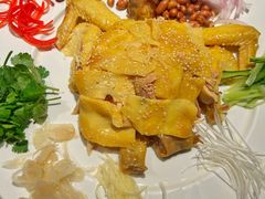 顺德捞鸡-任兴记(定西路店)