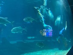 -福州罗源湾海洋世界旅游区