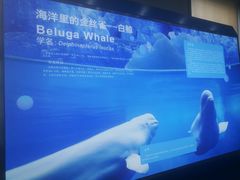 -上海海洋大学鱼文化博物馆(军工路校区)