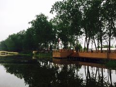 -微山湖红荷湿地景区