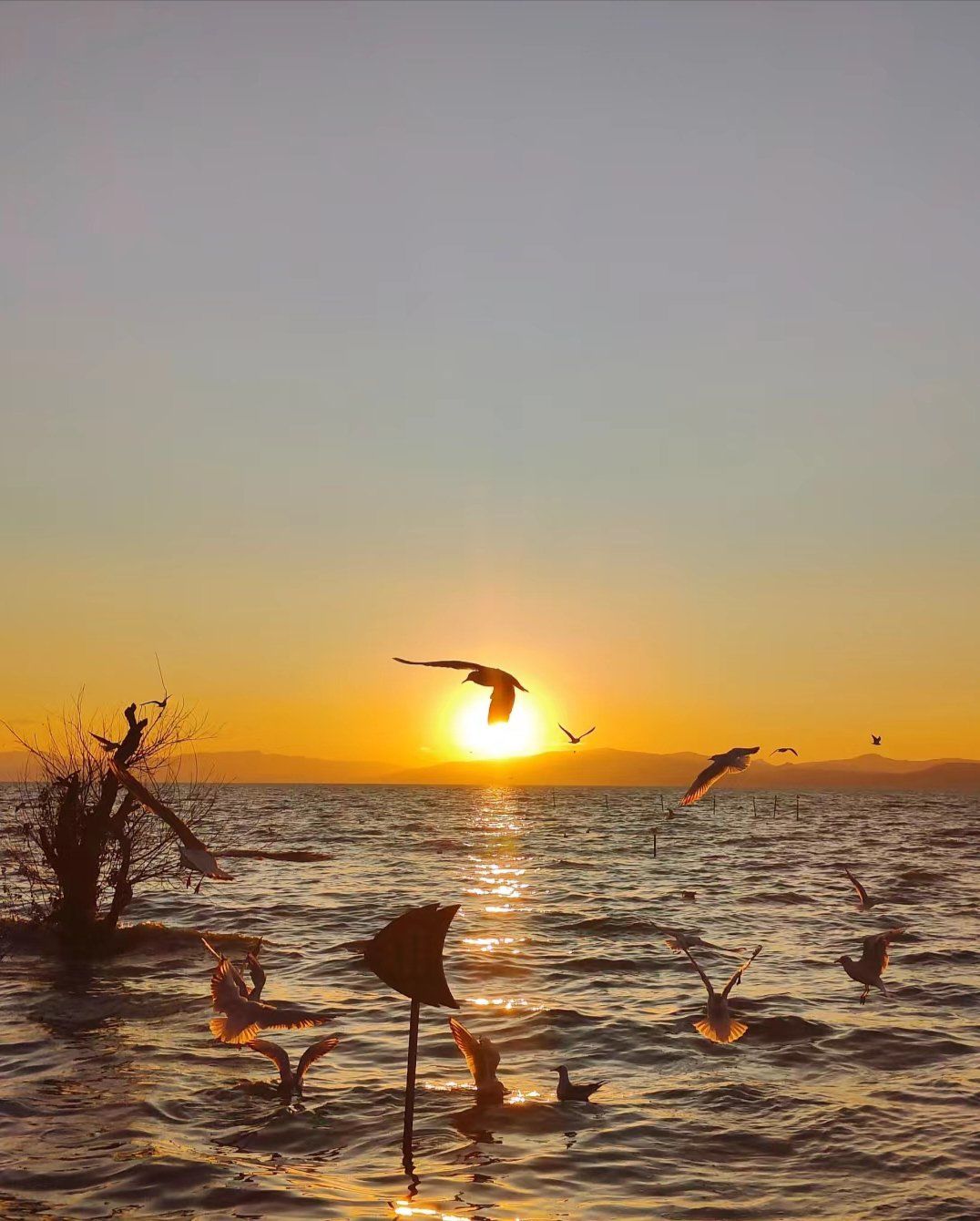 落霞与孤鹜齐飞,秋水共长天一色