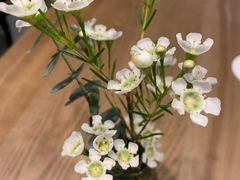 -gaga(深圳南山益田假日广场店)
