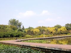 -洛阳市隋唐城遗址植物园
