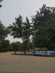 -酷酷兔少儿拓展天地
