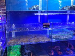 -百年银屏蚝烙·潮汕菜·非遗(乐山店)