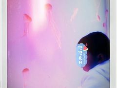 -芜湖新华联大白鲸海洋公园