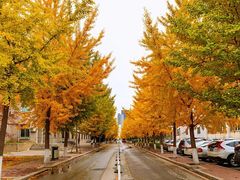 -东北大学(南湖校区)
