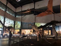 -湖南省地质博物馆