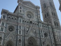 -圣母百花大教堂穹顶