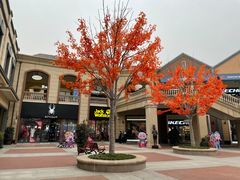 -王府井奥莱临潼小镇(临潼店)