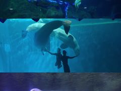 -威海华夏城景区