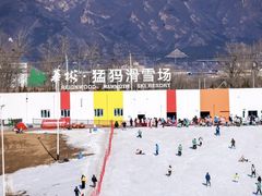 -华彬猛犸滑雪场