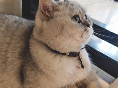 -Oasis绿洲银饰珍珠手作diy(壹方城店)