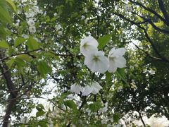 android_upload_pic-蠡湖大桥公园