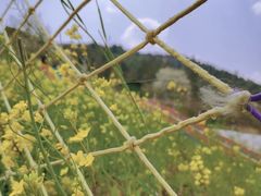 -名花谷生态庄园