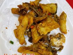 -寻味顺德·南记酒家·传统顺德菜·鱼生(广源路店)