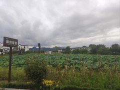 -西溪南古村落