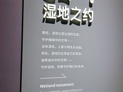 -中国湿地博物馆