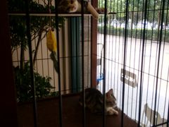 -多卡布奇宠物生活馆(上林世家店)