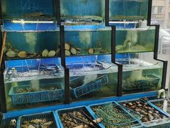 水产区-老东镇啤酒屋海鲜加工·蒸汽海鲜·海鲜烧烤(台东店)