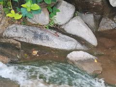 -天津盘山风景名胜区