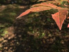 -本溪老边沟风景区