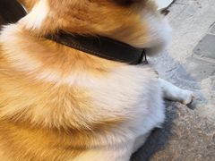 -阿木舂记·特色小吃(平江路店)