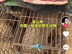 -约翰·菲茨杰拉德·肯尼迪国际机场