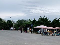 -日照海滨国家森林公园