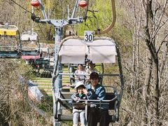 -富斯特索道
