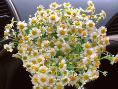 -海富荣·锅贴·陕菜家常菜(阳光城店)