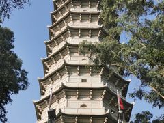 -深圳国际园林花卉博览园