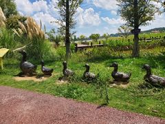 -云漫湖生态度假公园