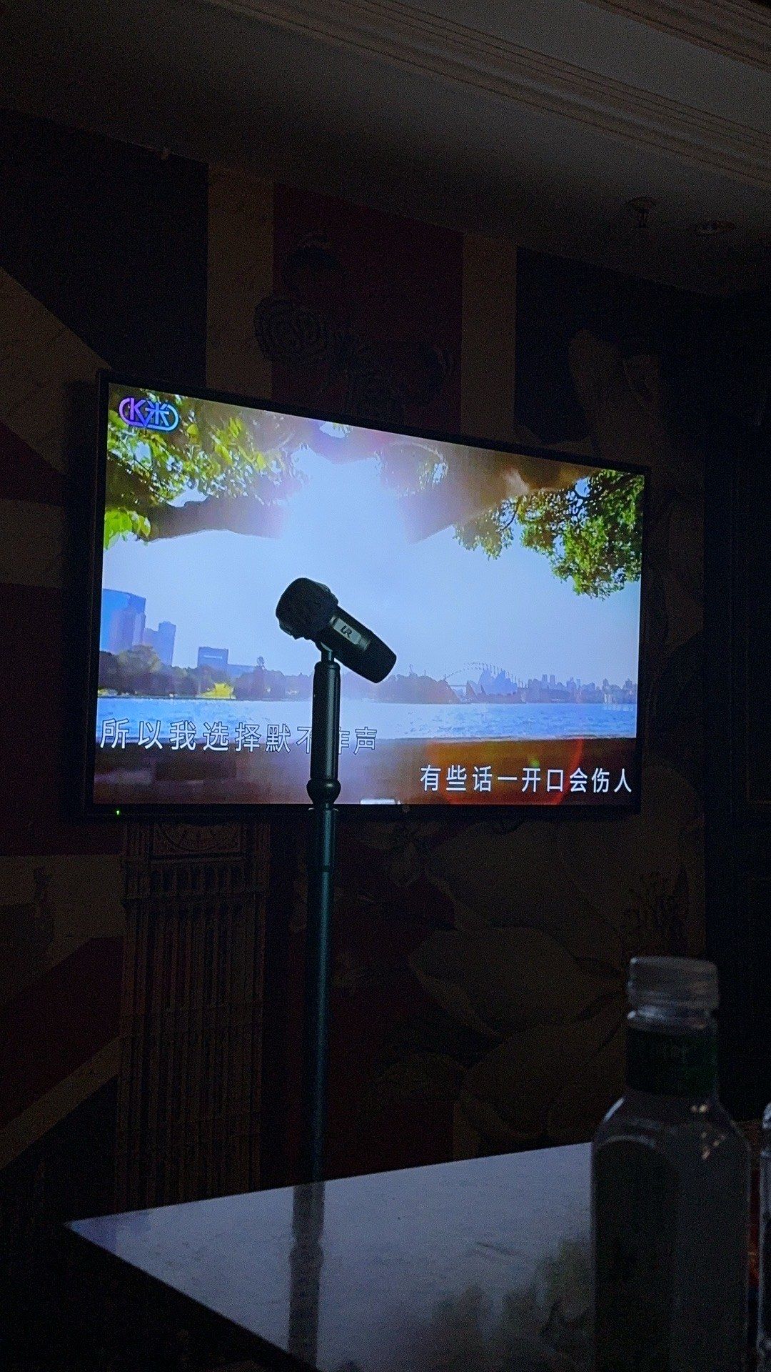 哈尔滨夜猫子的嗨歌天堂