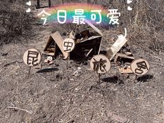 -北京凤凰岭