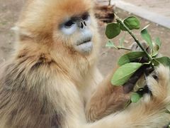 -大连森林动物园