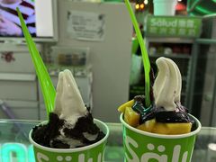 -Salud撒露欧洲冻酸奶(五道口购物中心店)