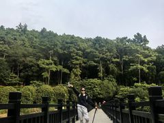 -九龙潭景区