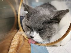 -萌兽医馆·犬猫专科·眼科中心·宠物医院(朝阳门分院)