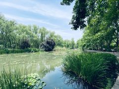 -洛阳市隋唐城遗址植物园